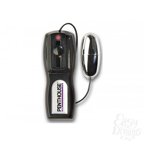  2  -   Penthouse^ Pet Collection Taylor Vixen Vibrating CyberSkin^ Pet Pussy