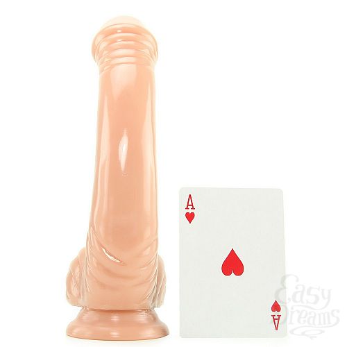 ���������� 3  ��������� ������������� �� �������� Wildfire^ Star Performer Series Big Break 23,5 ��, ��������