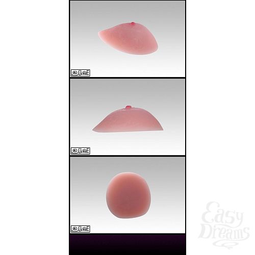 2  -