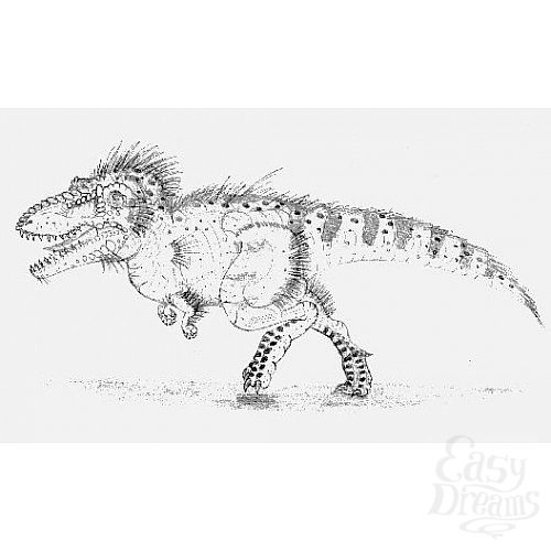  3    Itemirus - 32 .