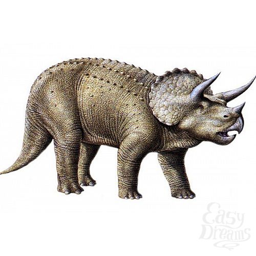  3     Ceratops  - 21,5 .