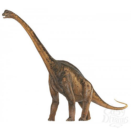  3     Karonga  - 23,5 . 