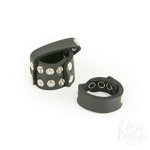  2       TLC Kinky Cock Ring   Ball Harness