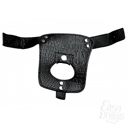 1:    Harness