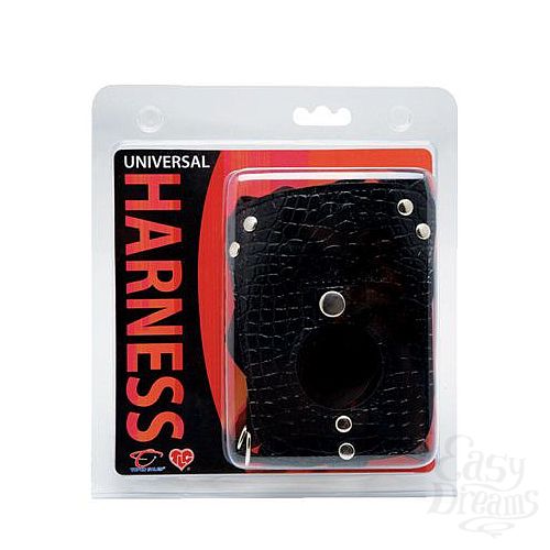  2    Harness
