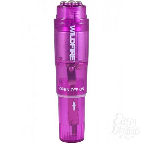  1:     Wildfire Rock-In Waterproof Massager