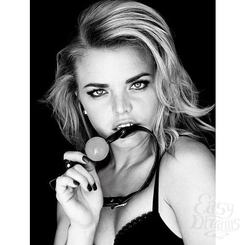 ���������� 3  ���� � ��� � ���� ���� Solid Ball Gag