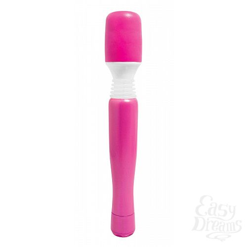  1:    Mini Wanachi
