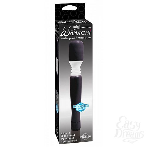  2  ׸  Mini Wanachi