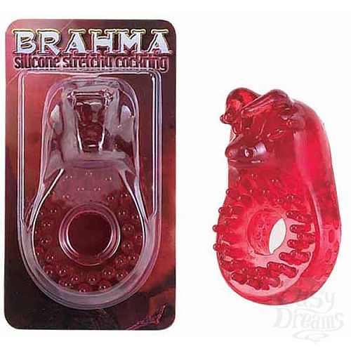  1:    *BRAHMA*