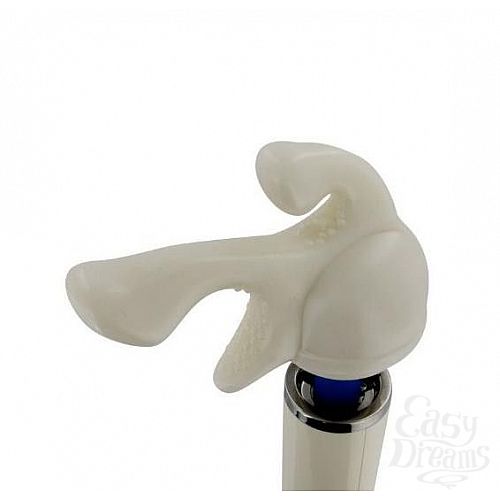 2      Hitachi Magic Wand