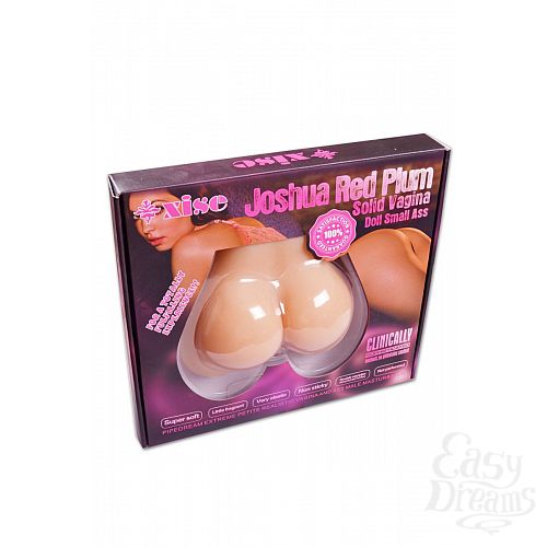  3        Joshua Red Plum