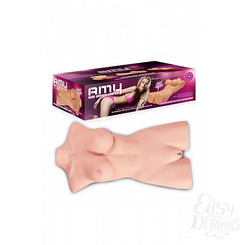  6      Amy