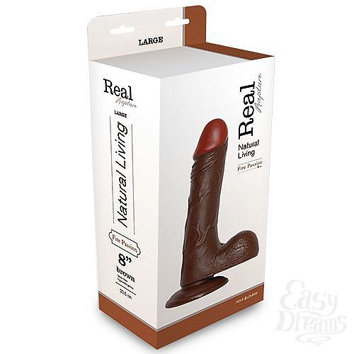 ���������� 2  ���������� ������������� REALISTIC DILDO REAL RAPTURE �� �������-�������� - 20,5 ��.