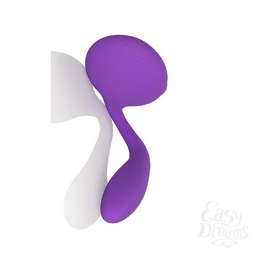  10    Silhouette S8  -Purple