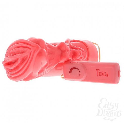  1:   - THE VIRGIN VIBRATOR