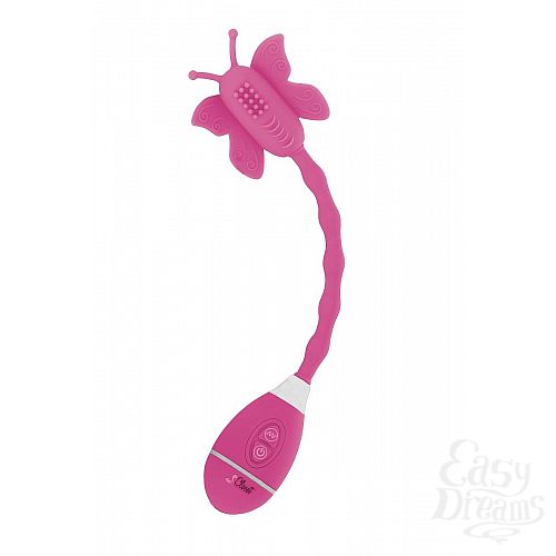  3   -   THE CELINE BUTTERFLY