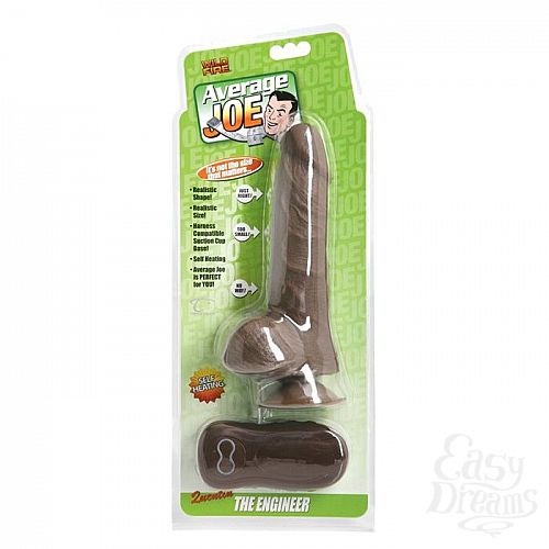  2    Average Joe The Engineer - 20 . 