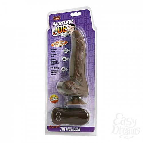  2   -  Average Joe The Musician - 21 .