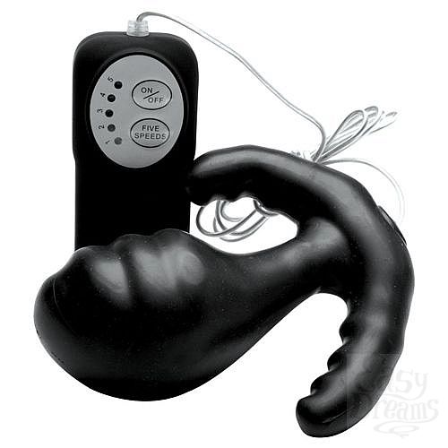  2     PRO 5.2