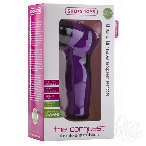  2     The Conquest