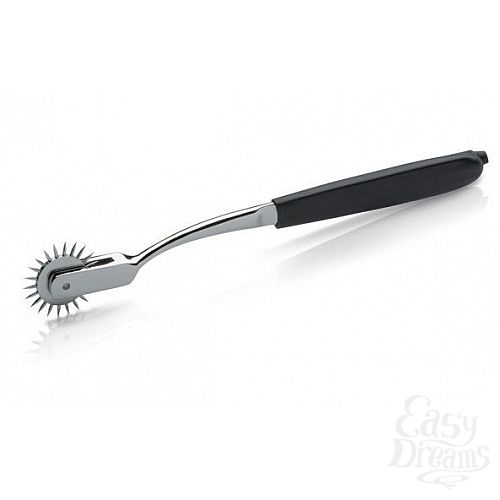  1:    Spiny Spencer   