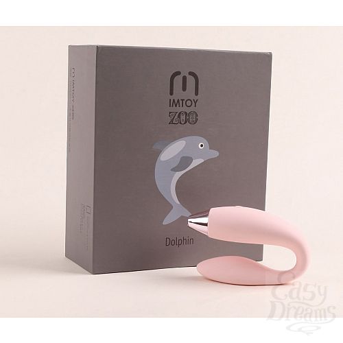  4  -     Dolphin