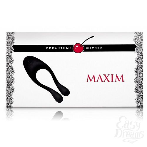  2  ׸   Maxim