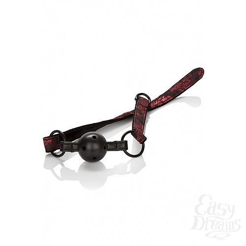  5    SCANDAL BED RESTRAINT KIT