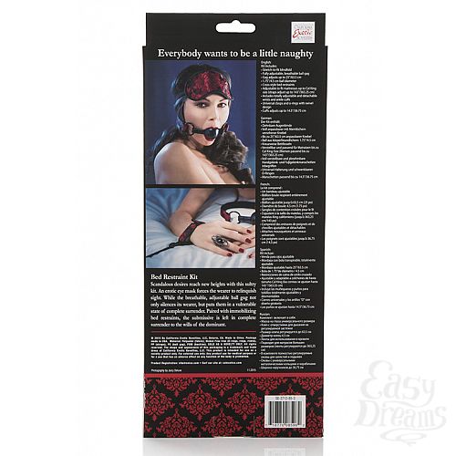  6    SCANDAL BED RESTRAINT KIT