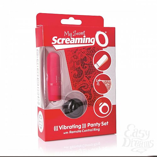  3    Remote Control Panty Vibe 