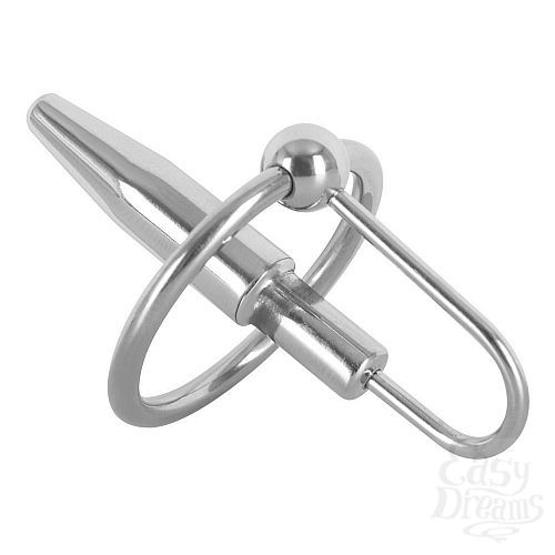  1:        Penisplug mit Eichelring