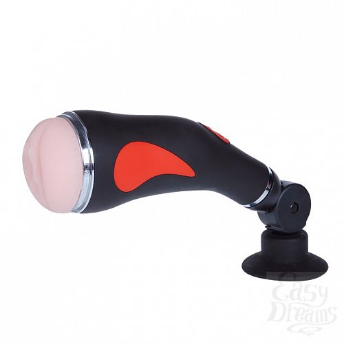  1:     The young Cyclone BM-00900T37