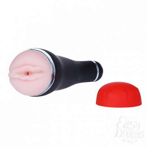  2     The young Cyclone BM-00900T37