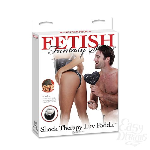  2          SHOCK THERAPY PADDLE