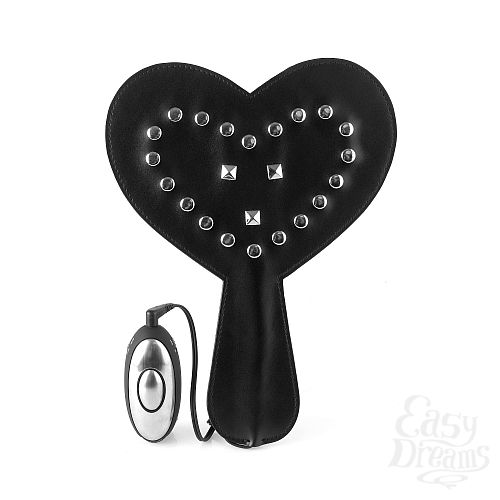  3          SHOCK THERAPY PADDLE