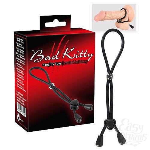  1:         Bad Kitty
