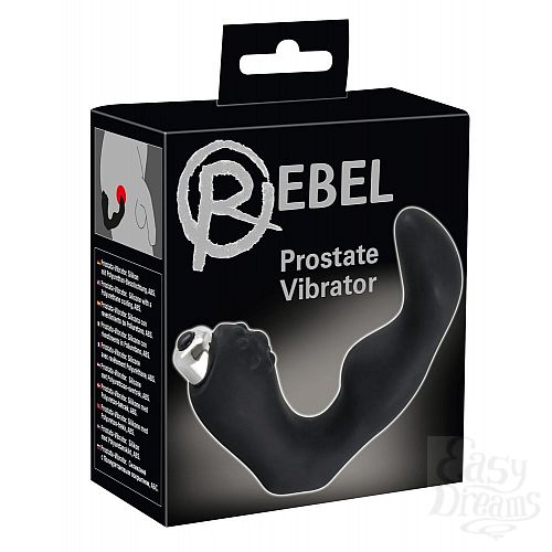  5  ׸   Rebel
