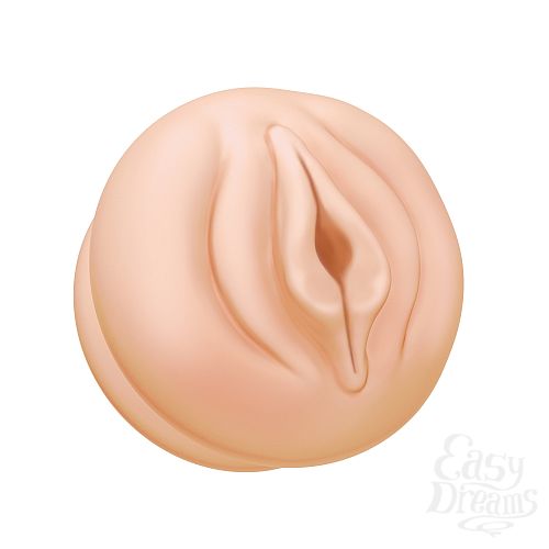  1:       Discovery Nurse 6905-01Lola