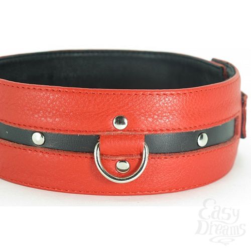  1:     -   XL 55002xlars