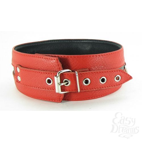  2     -   XL 55002xlars