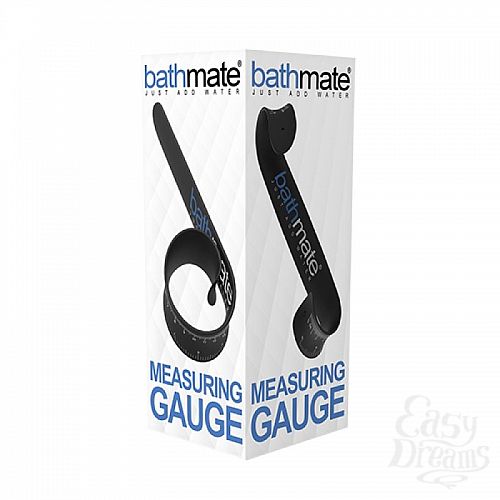  3    Measuring Gauge