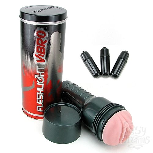  2     Fleshlight Vibro Pink Lady Touch 