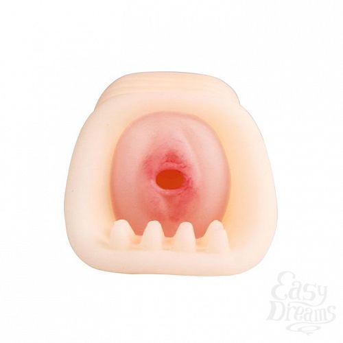  2       Rose- 18,8 .