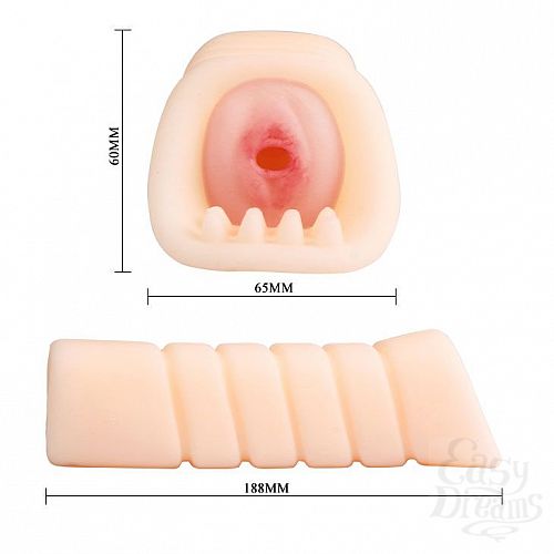  4       Rose- 18,8 .