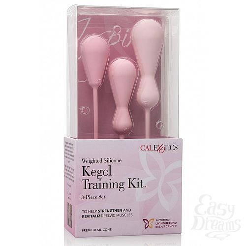  1:        3    INSPIRE WGHT SIL KEGL TRAIN KT