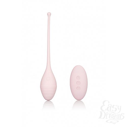  2   INSPIRE VIB RMT KEGEL EXERCISR
