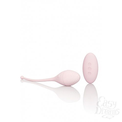  3   INSPIRE VIB RMT KEGEL EXERCISR