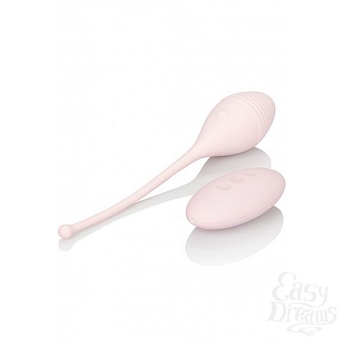  4   INSPIRE VIB RMT KEGEL EXERCISR