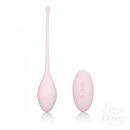  1:   Vibrating Remote Kegel Exerciser